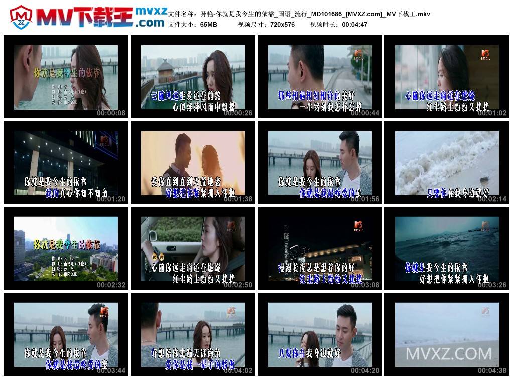 孙艳-你就是我今生的依靠_国语_流行_MD101686